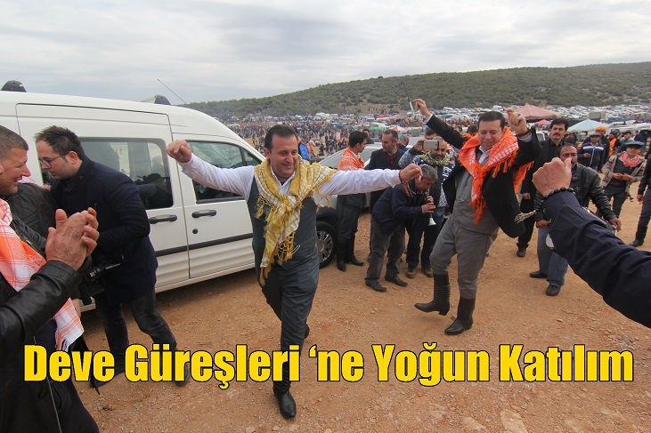 Menderes Deve Güreşleri ‘ne Yoğun Katılım