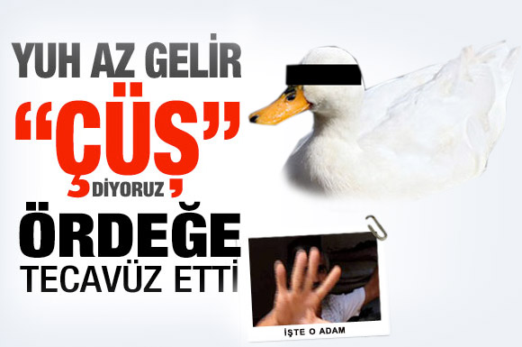 İşte ördeğe tecavüz eden o adam!