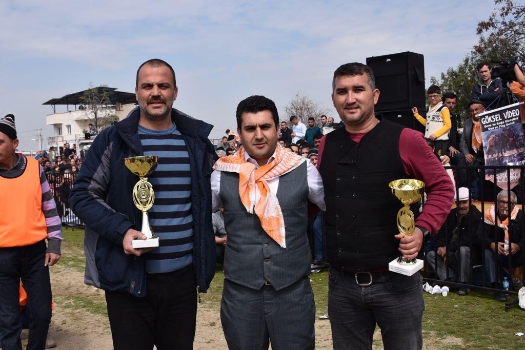 KEMALPAŞA’DA DEVE GÜREŞİ FESTİVALİ GERÇEKLEŞTİRİLDİ