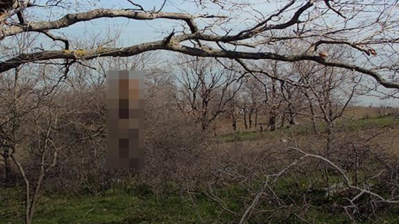 Tekirdağ'da kan donduran görüntü