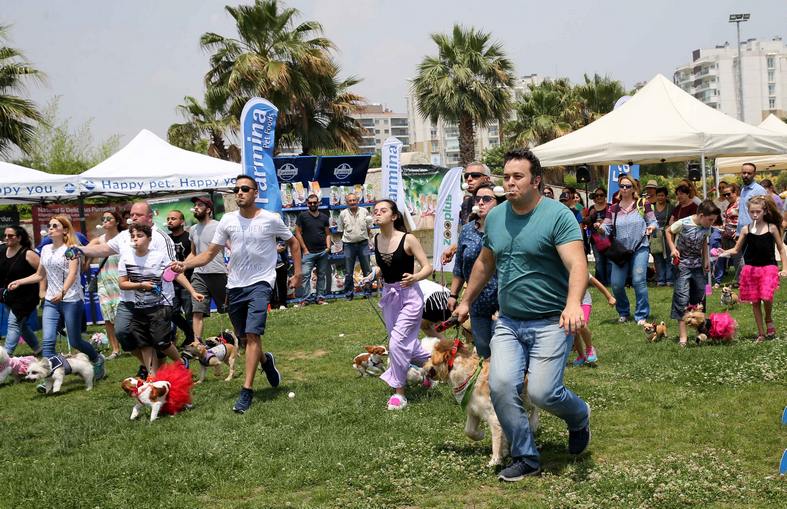 Sevimli Dostlar Podyuma Çıktı