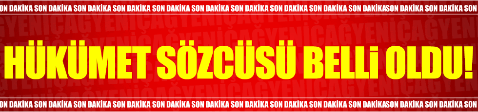 Yeni hükümet sözcüsü Bekir Bozdağ oldu