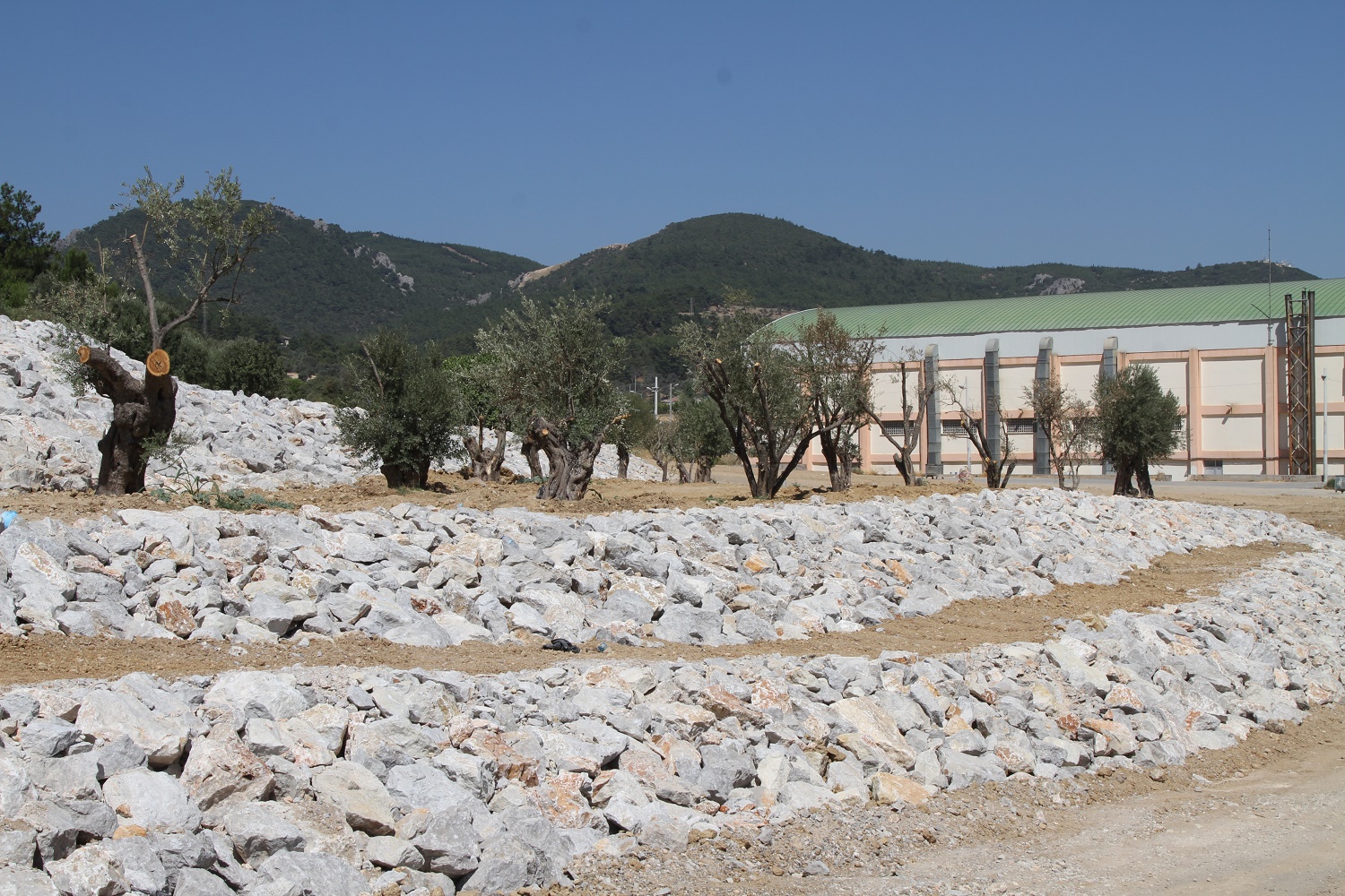 Gaziemir’e Adalet ve Üç Fidan Parkı