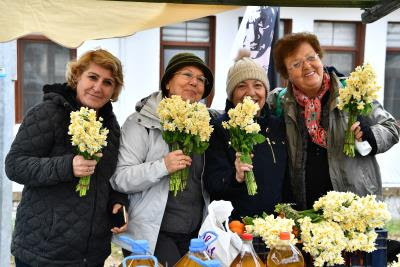 Nergis turları "kapalı gişe"