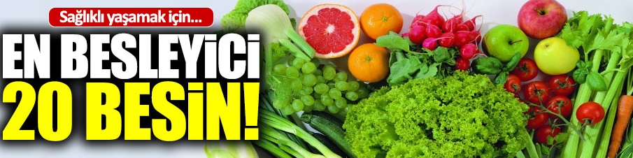En besleyici 20 besin